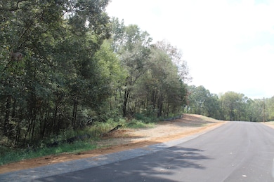 0 Smith Rd unit 25130754, Hernando, MS 38632 - photo 5