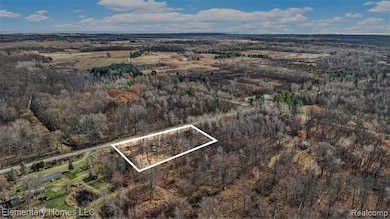 00 S Crawford Rd, Au Gres Township, MI 48749 - photo 2