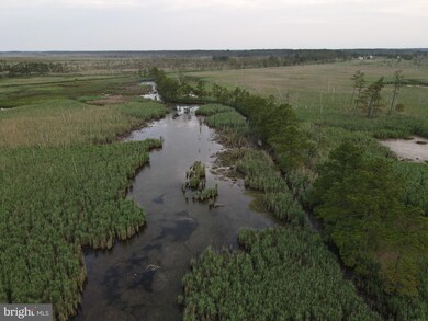 2673 Wesley Church Rd, Crapo, MD 21626 - photo 2