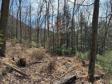 0 Winslow Hill Rd unit 21440465, Benezette, PA 16056 - photo 7