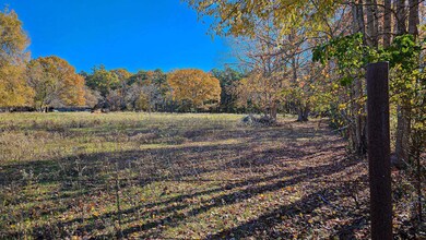 TBD County Road 219, Tyler, TX 75707 - photo 3