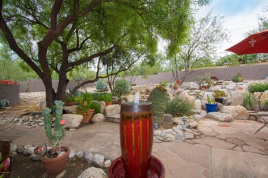 backyard-2
