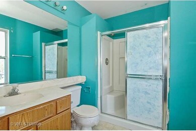 1863 Cambridge Dr, Carpentersville, IL 60110 - photo 6