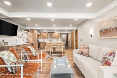 131 E Durant Ave unit 208, Aspen, CO 81611 - photo 3