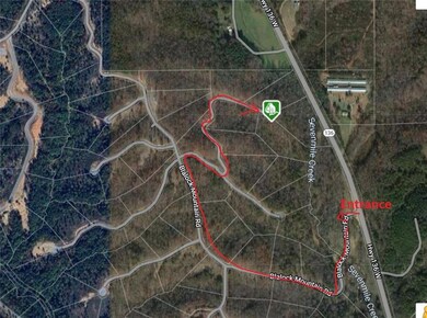 0 Headwaters Ln unit 7401442, Talking Rock, GA 30175 - photo 7