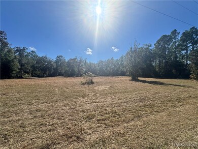 10278 W Belfast St, Crystal River, FL 34428 - photo 4
