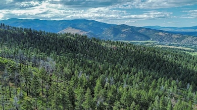 15100 Rock Ridge Rd, Florence, MT 59833 - photo 3