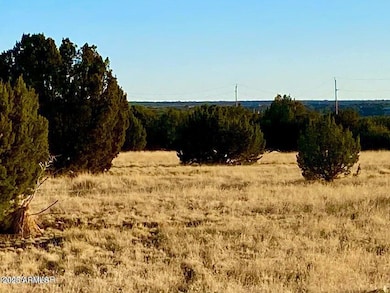 20250522084243067375000000-o