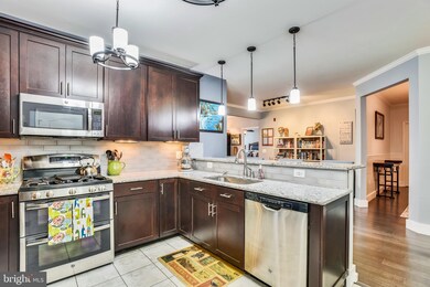 41895 Cathedral Valley Square unit 207, Aldie, VA 20105 - photo 6