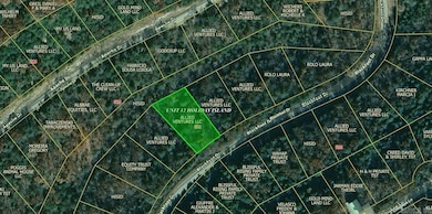 Lot 16 Blackfoot Dr, Holiday Island, AR 72631 - photo 2