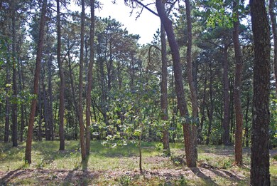 5 Dike Rd, Edgartown, MA 02539 - photo 4