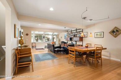 100 N 8th St unit 26, Aspen, CO 81611 - photo 4