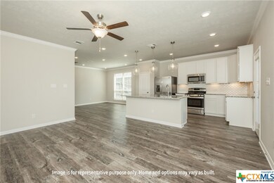 1725 Seven Coves Rd, Temple, TX 76502 - photo 5