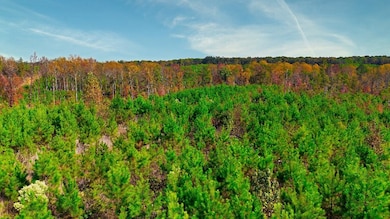 View of nature with a wooded view