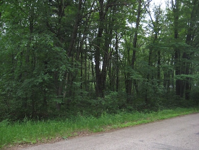 Lot 4 Algoma St unit Badger Avenue, Stevens Point, WI 54482 - photo 2