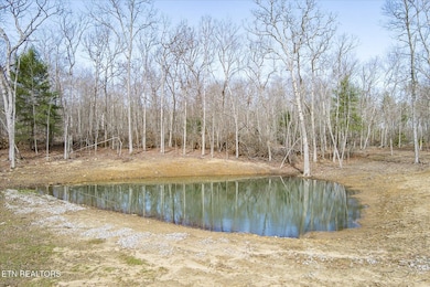 372 Perkins Trail, Deer Lodge, TN 37726 - photo 5