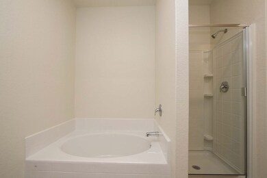 The spacious master bathroom showcases a soaker tub, glass-enclosed shower, sprawling vanity and walk-in closet.