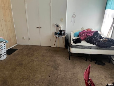 201 11th Ave, Fulton, IL 61252 - photo 5