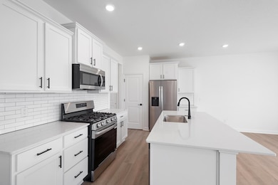 22425 Isla Way, Rogers, MN 55374 - photo 4