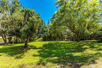 Lovely trees amongst a park-like setting
