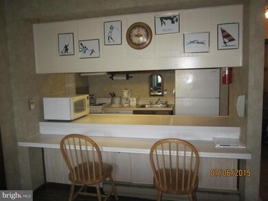 1836 Fairway Dr unit 202, Basye, VA 22810 - photo 3