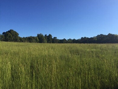 9711 Lower Thomaston Rd, Macon, GA 31220 - photo 4