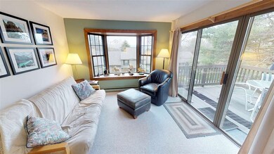 291 Sugarhill Ln unit 1D, Hartford, VT 05001 - photo 5