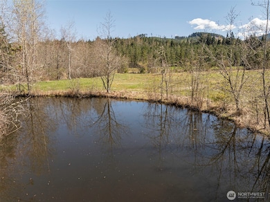 4890 Lost Mountain, Sequim, WA 98382 - photo 7