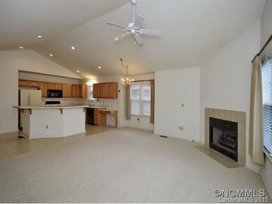 37 Gray Wolf Ln, Hendersonville, NC 28792 - photo 4