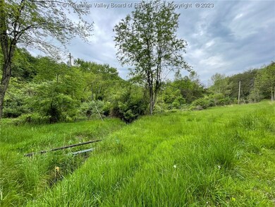 3781 Ovapa Rd, Ovapa, WV 25164 - photo 5