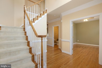 710 Gold Cup Dr, Warrenton, VA 20186 - photo 6