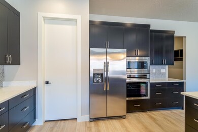 Kitchen Fridge