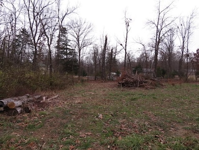 00 Maple Ave, Bull Shoals, AR 72619 - photo 5