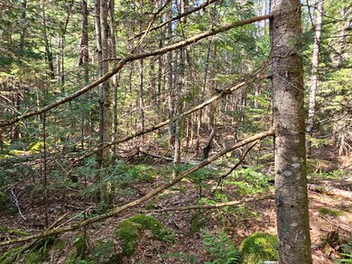 1476 Profile Rd, Franconia, NH 03580 - photo 6