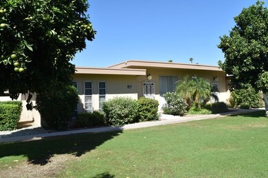 Grassy Shaded Courtyard