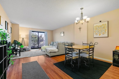 401 S 1st St unit 213, Minneapolis, MN 55401 - photo 6