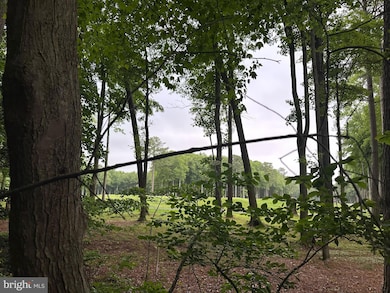 30 Juneway Ln, Berlin, MD 21811 - photo 3