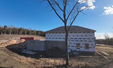 35 Silver Sunset Ln unit Lot 263, Kimberling City, MO 65686 - photo 4