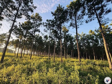 Tbd 3659, Queen City, TX 75572 - photo 5