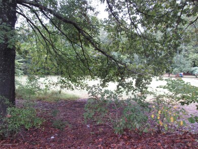 lot 2 view 1