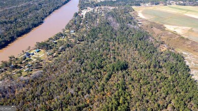 0 Gray's Landing Rd unit 10647341, Uvalda, GA 30473 - photo 2