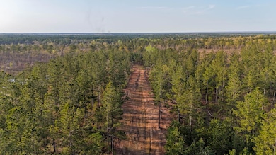 White Pond Ridge Estate SC Land for Sale