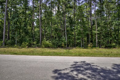 Lot 3 Greenway Dr, Jacksonville, NC 28546 - photo 6