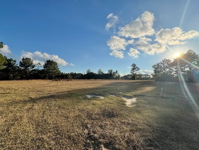 14014 Lott McCarty Rd, Picayune, MS 39466 - photo 4