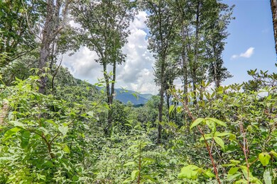 0 Centurian Ln unit 26 CAR4057489, Maggie Valley, NC 28751 - photo 3