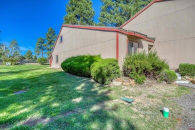 217 Pinon Causeway unit 3025, Pagosa Springs, CO 81147 - photo 2