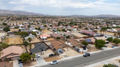Cactus Dr_0003