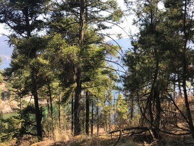 Nkn Peachtree Dr, Polson, MT 59860 - photo 5