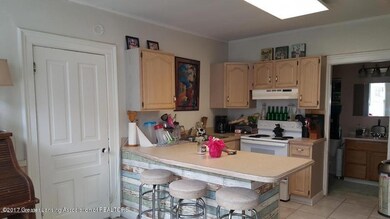 819 N Chestnut St, Lansing, MI 48906 - photo 3