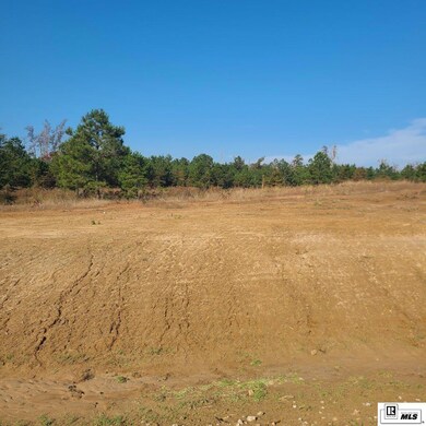 195 Simba Ln, Calhoun, LA 71225 - photo 5